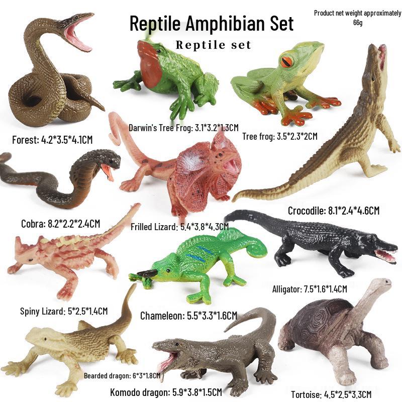 Marine Animal Models: Tuna, Triggerfish, Dolphin, Moray Eel, Squid, Whale Shark, Hammerhead Shark, Sea Turtle, Swordfish