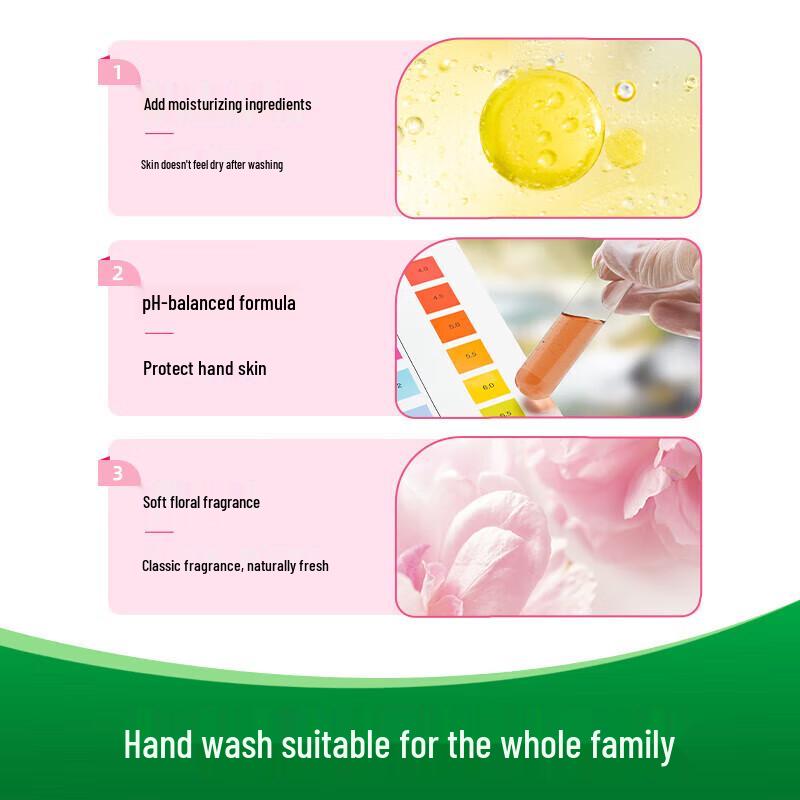Dettol Healthy Antibacterial Hand Wash Set (Moisturizing & Classic Pine)