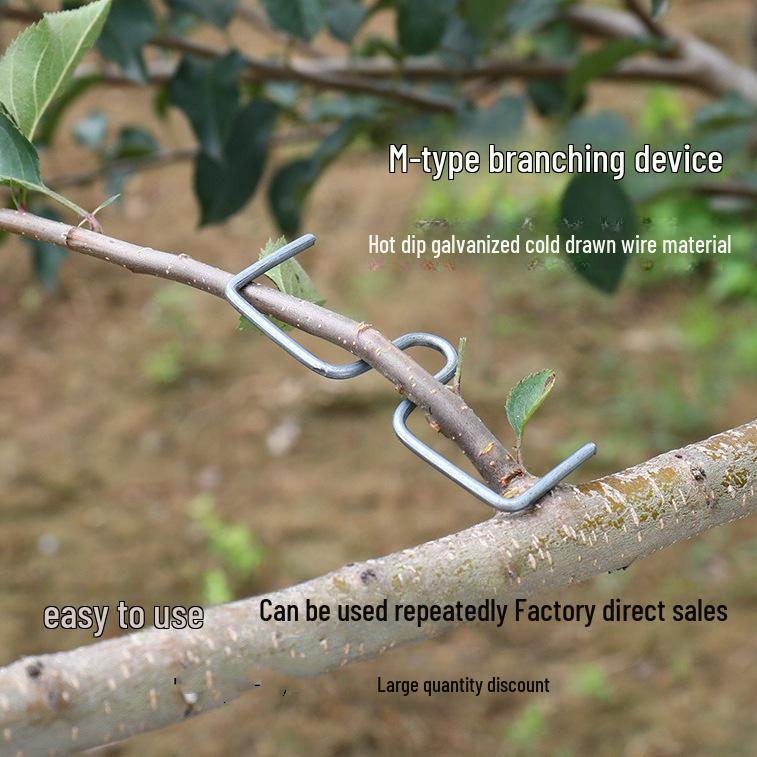 M-type Fruit Tree Branch Puller & Shaper with W-type Splitter, Hot-Dip Galvanized Steel Wire, Ideal for Cherry & Pear Trees
