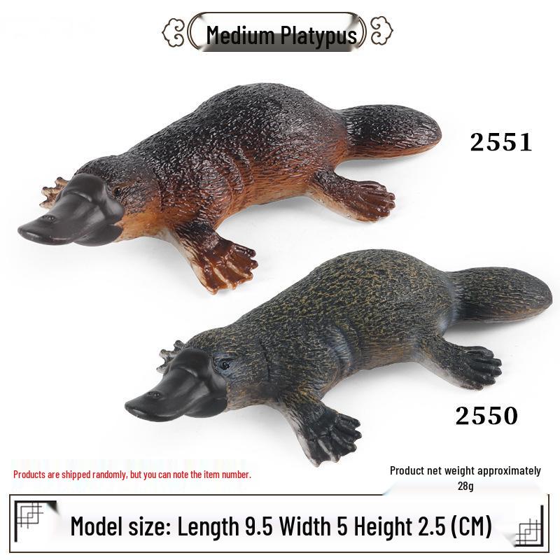 Australian Platypus Medium-Sized Children's Toy Model