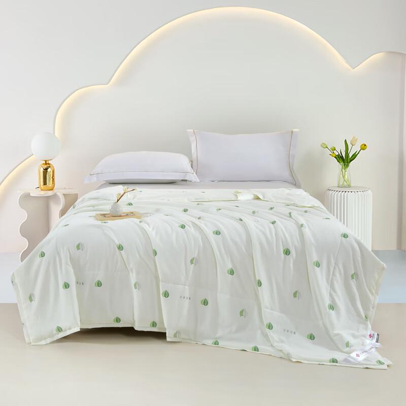 

Jieliya Mint Cool Soft Summer Quilt 200x230cm