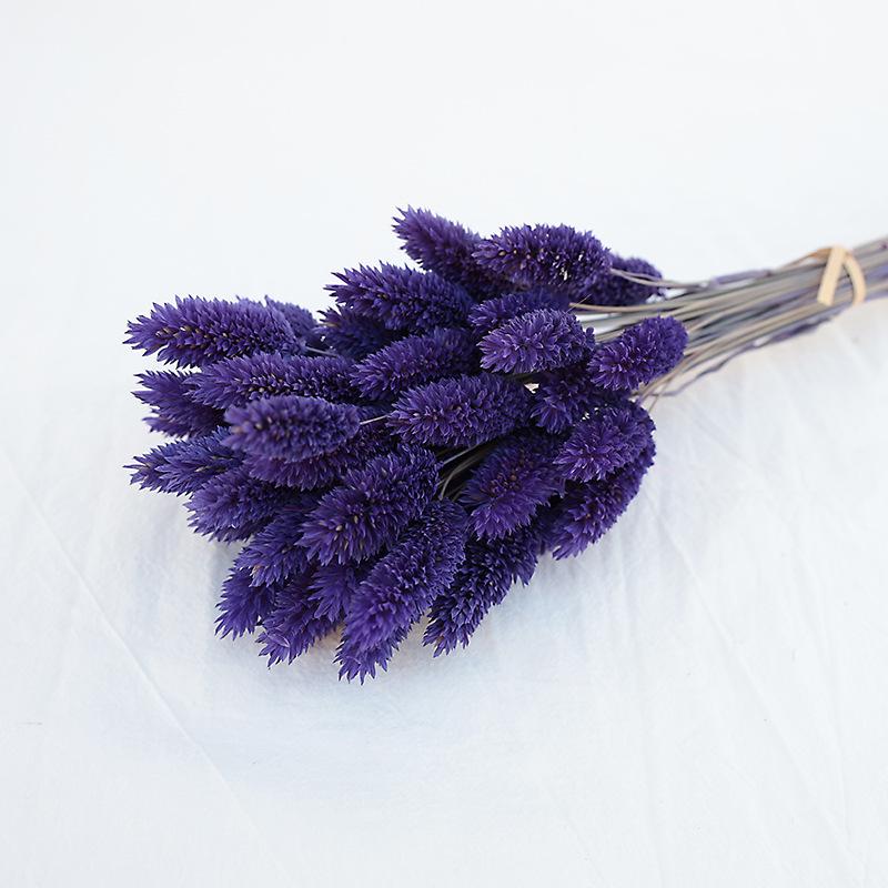 Natural Dried Statice Flower Bouquet - Everlasting Decoration for Vase & DIY Arrangements