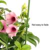 Plant Support Stand with Adjustable Rings Stable Construction Non-Fading Simple Installation Climbing Plants Stake Cage Frame