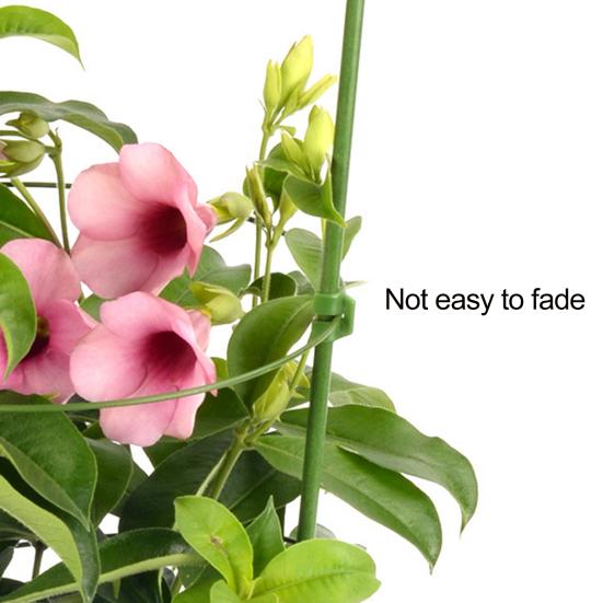Plant Support Stand with Adjustable Rings Stable Construction Non-Fading Simple Installation Climbing Plants