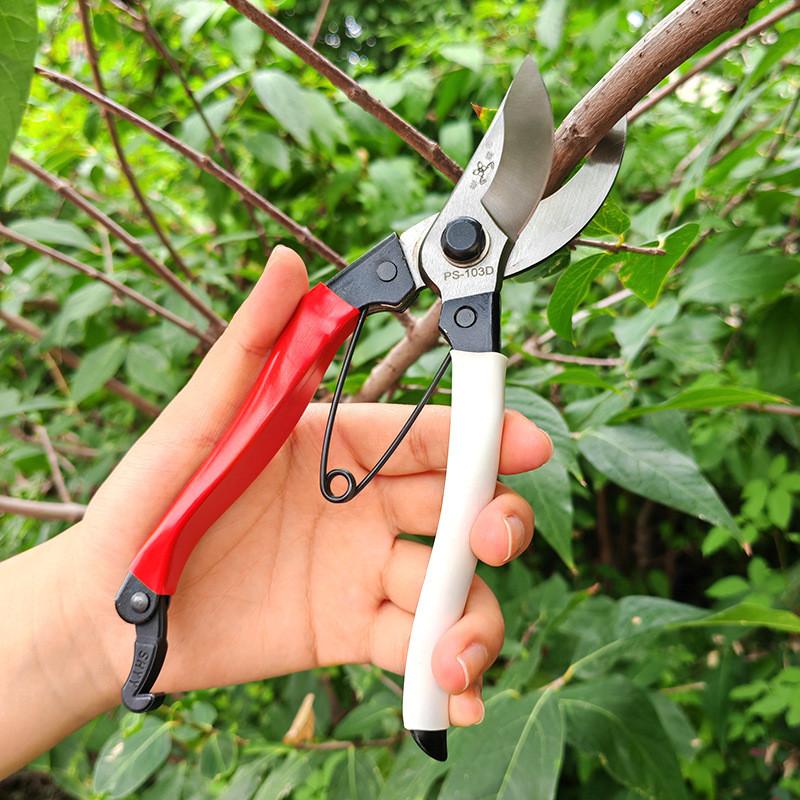 Garden Pruning Shears Handheld Horticulture Tool With Ergonomic Handles For Flower And Tree Maintenance