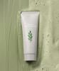 Artemisia Pack Foam Cleanser 150ml