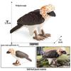 Kids' Cognitive Animal Models: Lemur, Meerkat, Capybara, Orangutan, Eagle, Maned Wolf, Gecko Toy Set