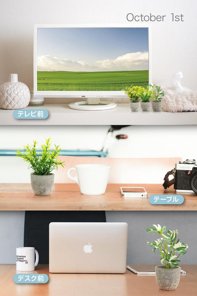 October1st Faux Greenery, Artificial Houseplants, 3-Piece Set, Tabletop, Photocatalytic Treatment, Artificial Flowers, Interior Decor, Mini Indoor