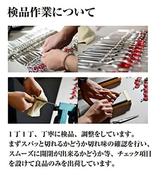 DEEDS GTX630R Thinning Shears Thinning Rate by a Japanese Professional Scissors Manufacturer (6.0 Inches, 10-15%)