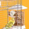 Plastic Parrots Feeder Transparent Bird Cage Food Dispenser Container Box for Small Birds with Anti Clogging Feature