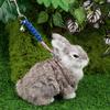 2pcs Figure 8 Harness and Leash with Reflective Strap and Bell for Ferrets, Rabbits, Bearded Dragon, Guinea Pig, Chinchilla and Hamster Small Animal