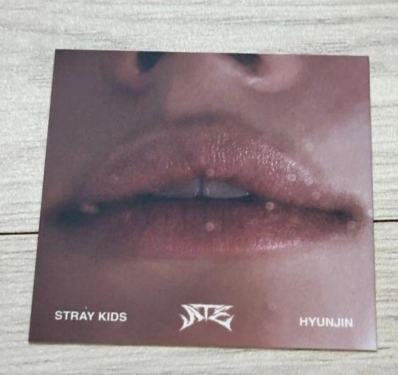 Stray Kids MINI ALBUM ATE ALBUM PHOTO CARD UFFICIALE