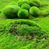 40pcs Artificial Moss Balls, Microfiber Faux Greenery Decorative Stones for Home Decor, Vase & Table Accents, Planter Embellishments,Party Decor