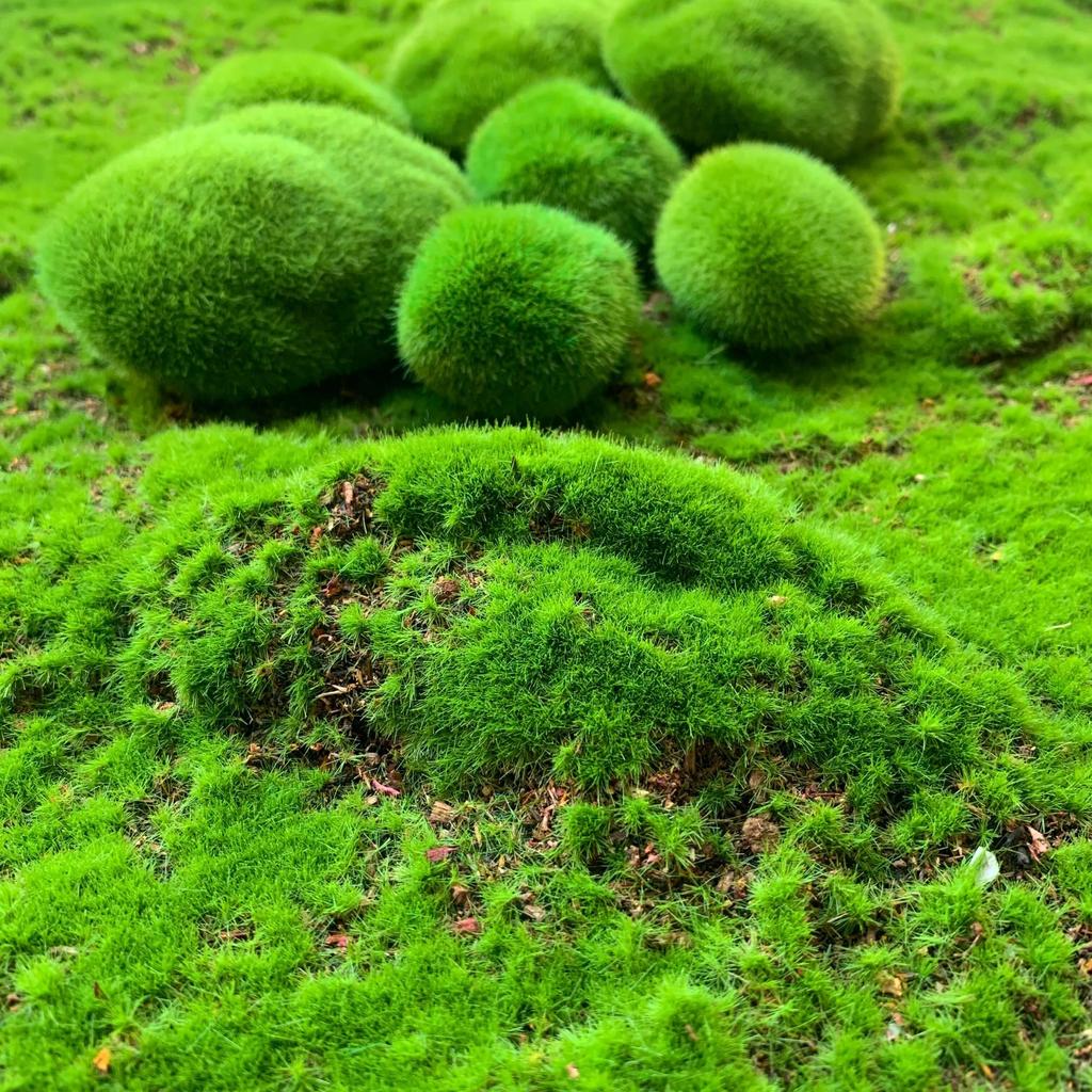 40pcs Artificial Moss Balls, Microfiber Faux Greenery Decorative Stones for Home Decor, Vase & Table Accents, Planter Embellishments,Party Decor