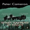 What Happens At Night by Peter Cameron Paperback Book 9781787704244