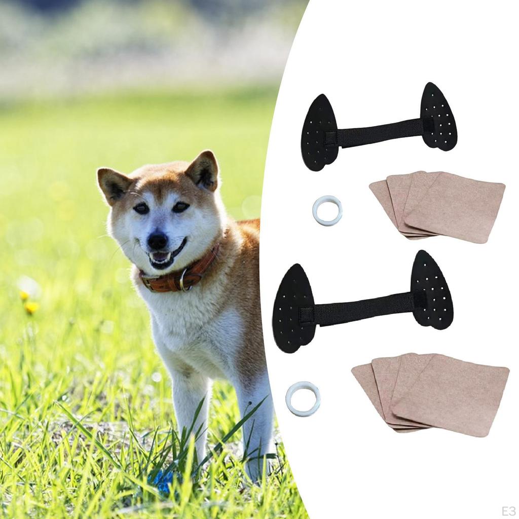 Dog Ear Posting Kit Assist Erected Small Medium Large Dogs Pet Supplies Cuttable Doggy Puppy Horse