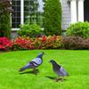 Garden Pigeon Outdoor Space Package Content Specifications