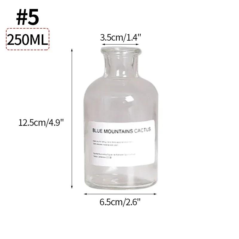 Ins Glass Flower Vase Transparent Dried Flower Hydroponic Terrarium Container Bottle Clear Plant Bottles Home Desktop Decor