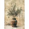 Mediterranean Antique Olive Branch Green Plant Rustic Kitchen Elegant Vase Poster Canvas Painting Wall Picture Home Decor