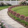 Artificial Rose Topiary UV Resistant 2 Pack Fake Plants 55 Cm Pink