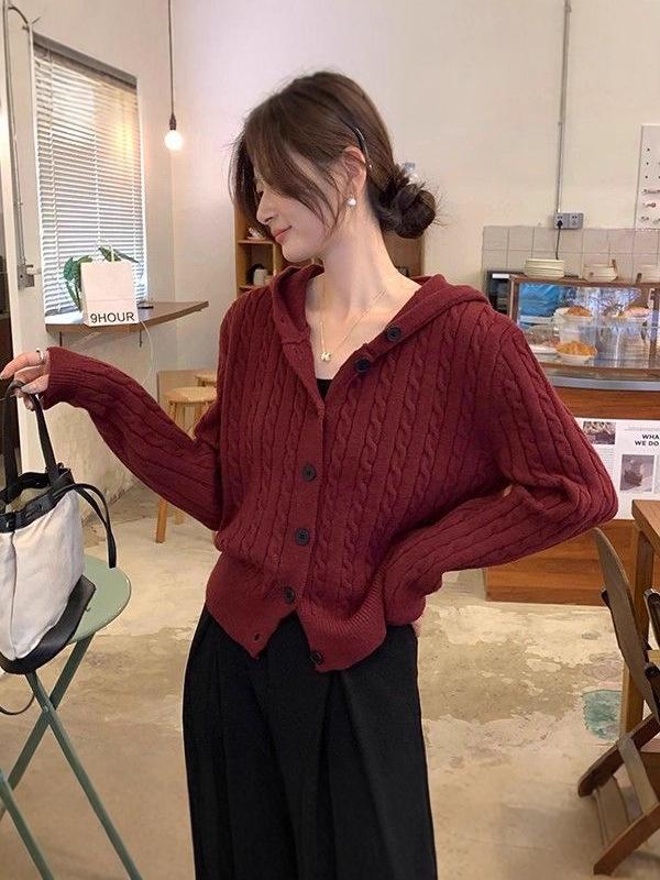 Chic Korean Cable Knit Hooded Cardigan - Women's Versatile Long Sleeve Sweater Coat for Autumn & Winter