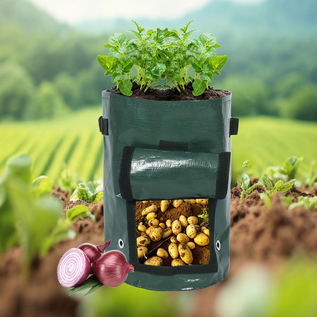 Saco de Cultivo de Batata Espessado de PE com Janela Visível Alças Duplas Saco de Plantio para Jardim para Vegetais Cenouras Verde 35x45