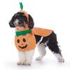 Christmas Pet Costume: Bat, Pirate, Clown, Delivery Outfit for Dogs