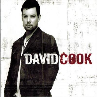 CD DAVID COOK - David Cook 88697334632 RCA Records 2008 Nicht Japan Rock Gebraucht