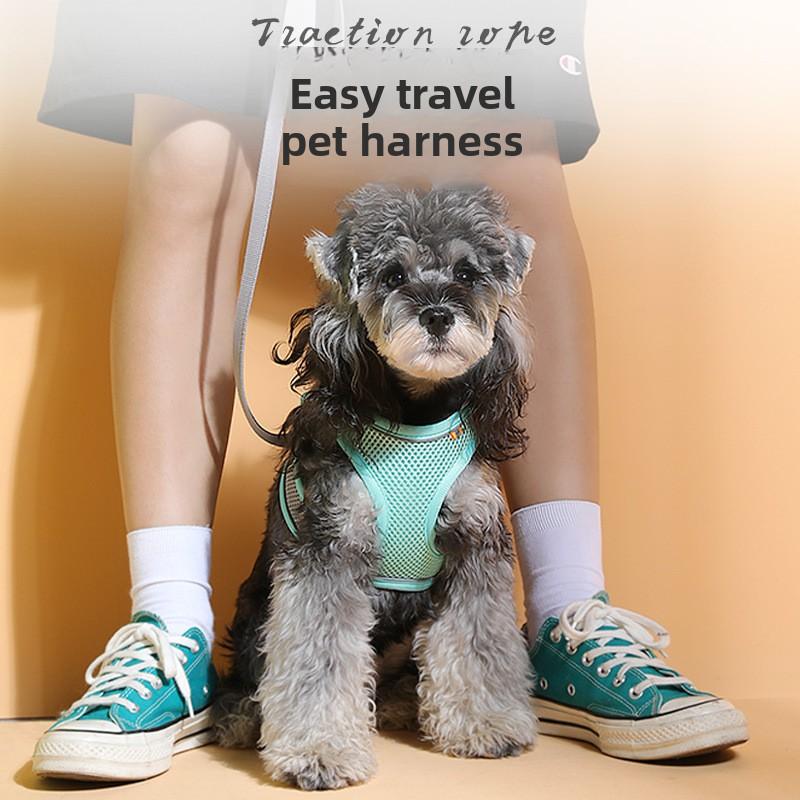 Haustier Outdoor Leine, Kleine und Mittelgroße Hunde Brust und Rücken Reflektierende Hundeleine, Katzenleine