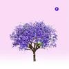 Audio e Video – Album musicali