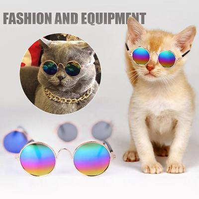 Evcil Hayvan Gözlüğü Mini Şeffaf AC Moda Kedi Güneş Gözlüğü Fotoğraf Çekmek İçin