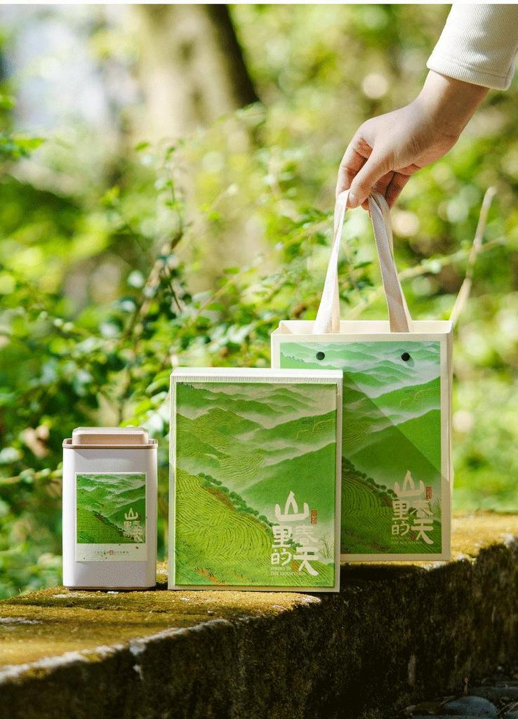 Eco-Friendly Green Tea Gift Box with Longjing, White Tea, Biluochun, Maojian, Cup & Iron