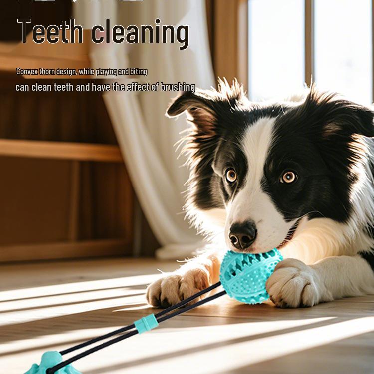 Hundespielzeug: Beißfester Saugnapf-Zerrball zur Zahnpflege, Selbstbeschäftigung und zum Abbau von Energie