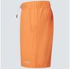 Oakley Marine Park Hybrid 19'' Shorts