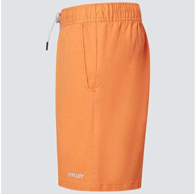 Oakley Marine Park Hybrid 19'' Shorts