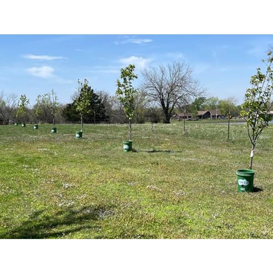 Tree I-V 6-Pk Original Base Root Feeder Watering System - Durable Self-Supported 5-Gal Reservoir with No-Hands Filling - Water