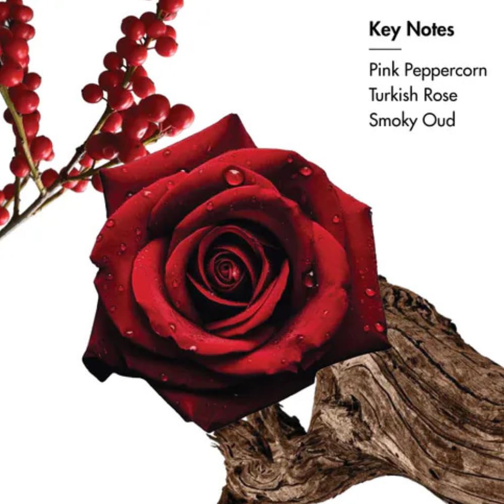 Rose Oud Woda Perfumowana 100ml | Unisex Długotrwały Czysty Kwiatowo-Drzewny EDP | Luksusowe Perfumy z Różą, Oudem i Różowym Pieprzem