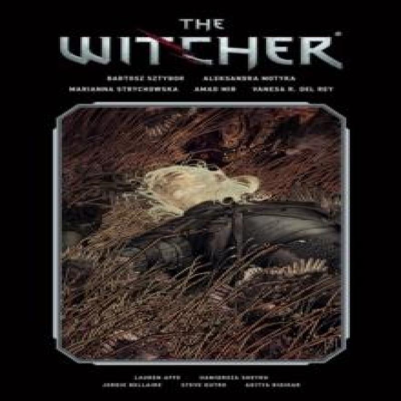 The Witcher Library Edition Volume 2 by Marianna Strychowska... 9781506726915