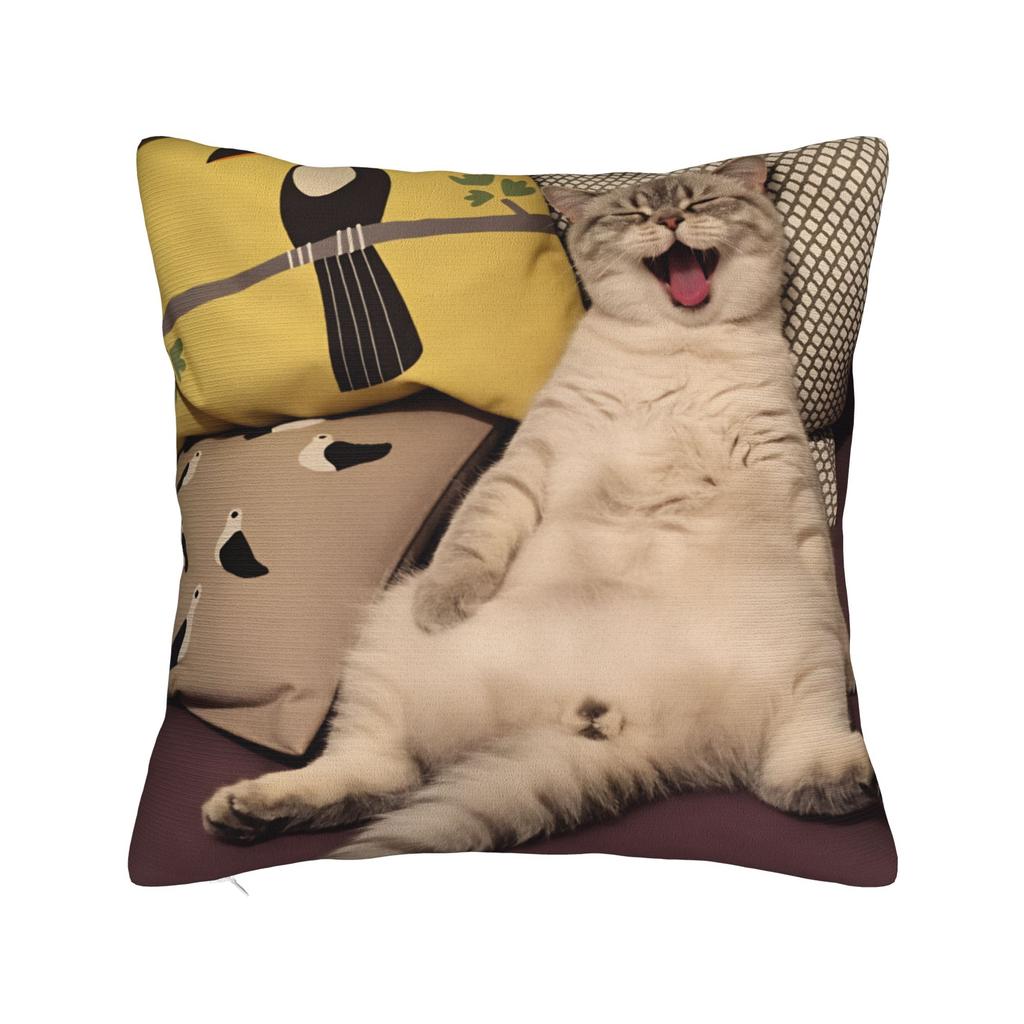 Tabby Cat Pillow Cover Print Cushion Cover Vintage Pillow Case For Sofa Bedroom Home Decor