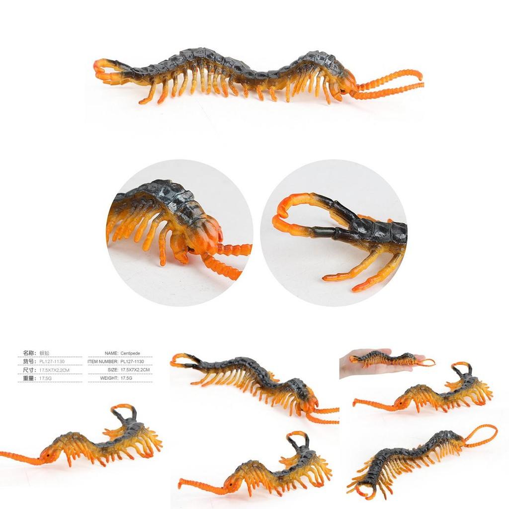 High Quality Static Centipede Figurine For Children Educational Playtime Fun