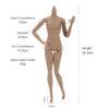 1/6 Scale Multi-Joint Bjd Female Body Super Model Nude Action Figure Home Decor Normal Skin Body For Custom Figure Making & Diy