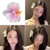 Colorful Hair Accessory Beautiful Flower Hairpin Claw Hair Clip for Fashionistas