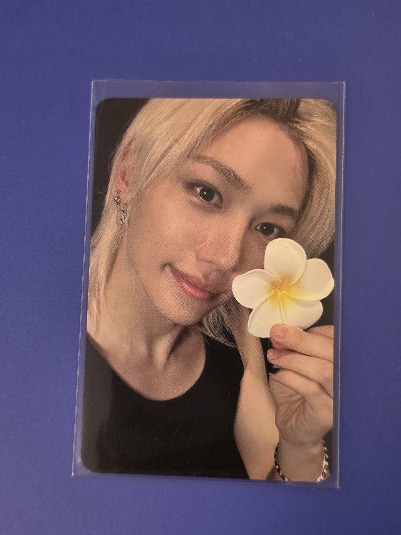 

[USED] Stray Kids KARMA Everline Trading Card Felix