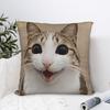 Funny Smiling Meowl Cat Pillowcases Funny Pillow Case For Sofa Car Home Decor Design Pillow Cover