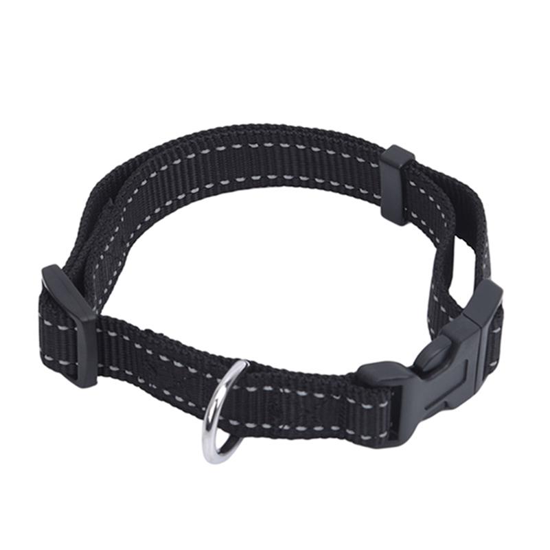 dog collars kmart