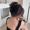 1pc Spring Summer Cloud Mesh Pleated Hair Claw, High-end Minimalist Shark Clip,versatile Hair Accessory for Bun Hairstlye