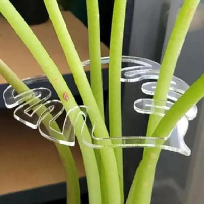 Pince en bambou en forme de carapace de tortue, support de tige de plante en plastique transparent réutilisable pour plantes d'intérieur et d'extérieur pour les amateurs de fleurs