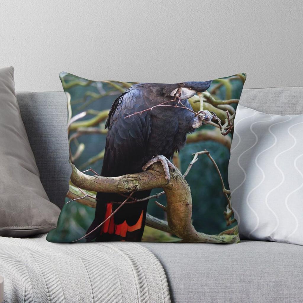 Redtailed Black Cockatoo Square Pillowcase Polyester Linen Velvet Pattern Zip Decor Home Cushion Cover