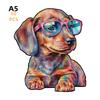 Brain Teaser 3D Wooden Puzzle Ideal for Adult Children Rainbow Fantasy Infant Dragons Animal Irregular Christmas Present Boxs Playthings