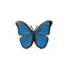 Broche papillon bleu en émail de haute qualité pour femmes, broches classiques Vintage en métal Animal pour femmes, bijoux cadeaux